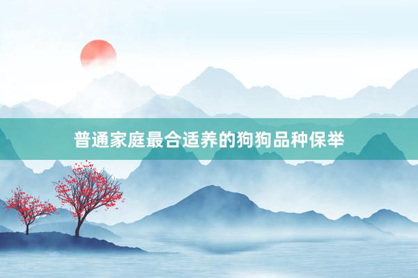 普通家庭最合适养的狗狗品种保举
