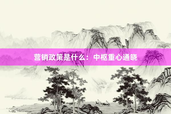 营销政策是什么：中枢重心通晓